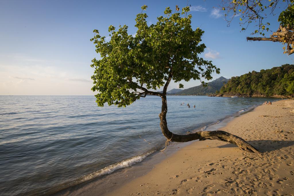 The White Knot Koh Chang Oda fotoğraf